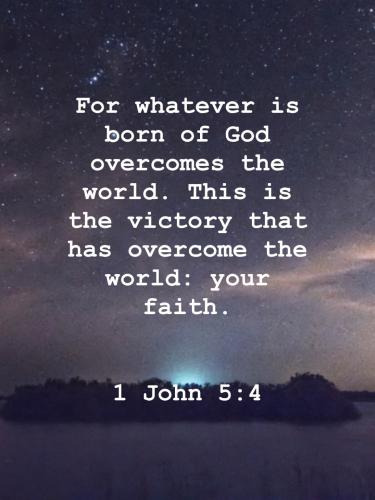 Bible-save-c44438d31183397733