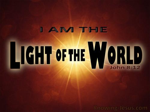 John 8-12 Jesus Is The Light Od The World brown