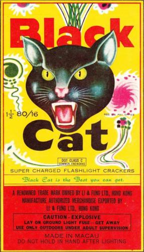 tumblr_25da00389c1490875e73eed14265a601_a0d7536b_640