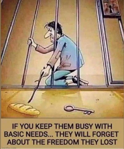 Screenshot 2023-07-18 075214