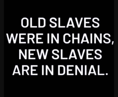 Screenshot_20230705_183227_YouTube