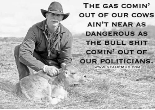 FB_IMG_1690418385720