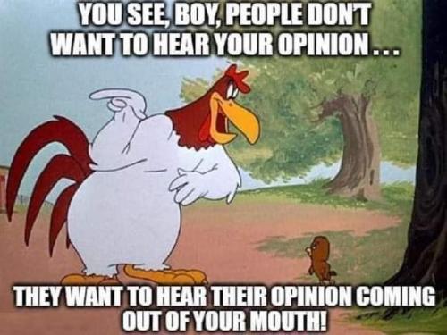 FB_IMG_1690596416004