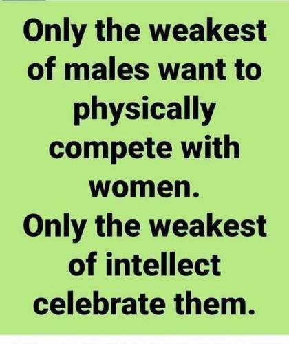 FB_IMG_1688990194508