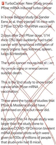 Turbo Cancer after vax