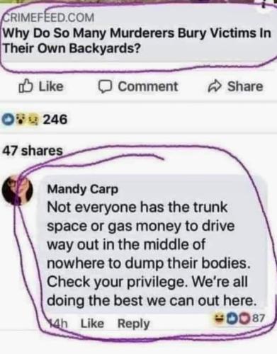 FB_IMG_1690308832460