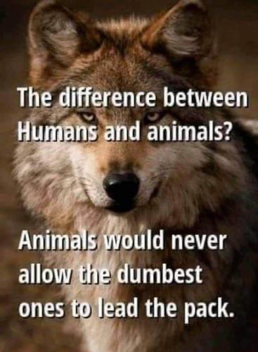 FB_IMG_1689062526111