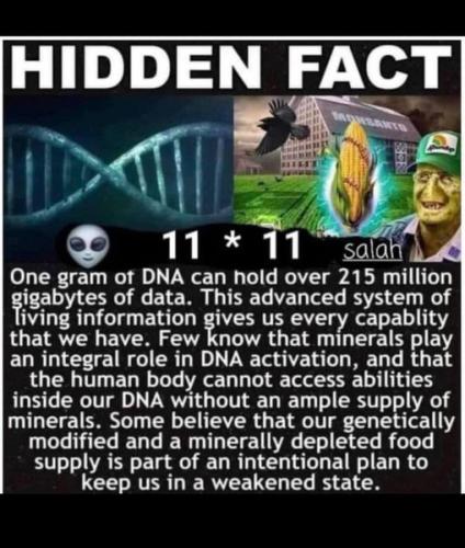 344442197_58197597069