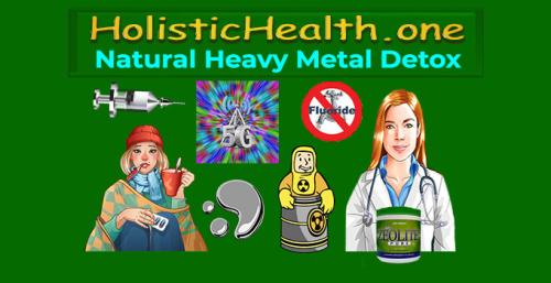 ! HolisticHealth.one - Natural Heavy Metal Detox