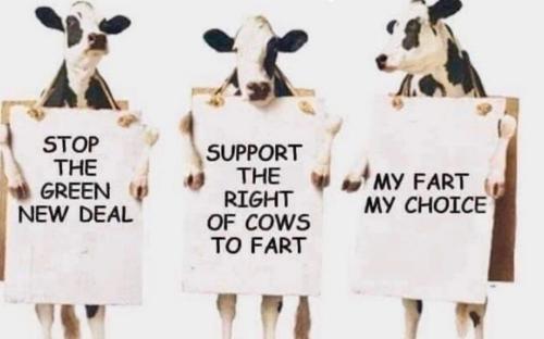 Screenshot_20230705_160552_Quora