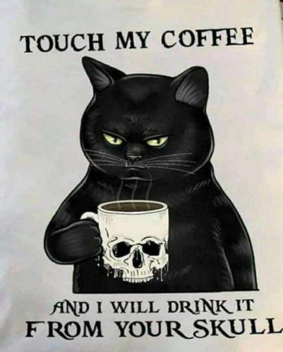 FB_IMG_1690380341471