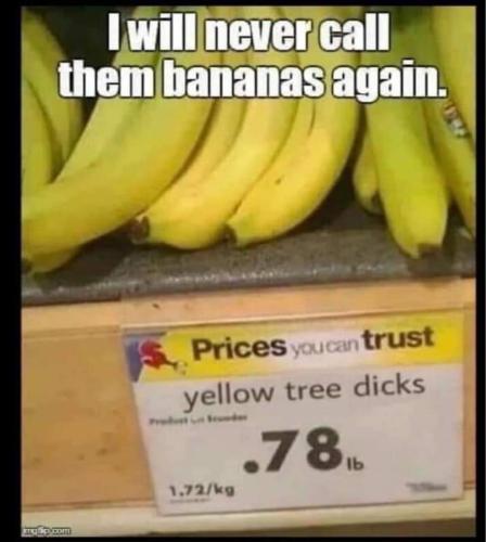 347584941_231262183195122_4383095381526019399_n