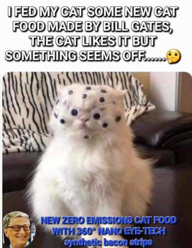 Screenshot_20230716_170102_Wimkin Free Speech Social Media