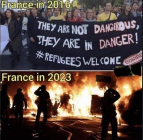 FB_IMG_1688398771851