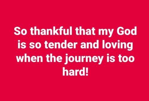 bb140f79-cc49-4917-9a7b-d83db76788c2