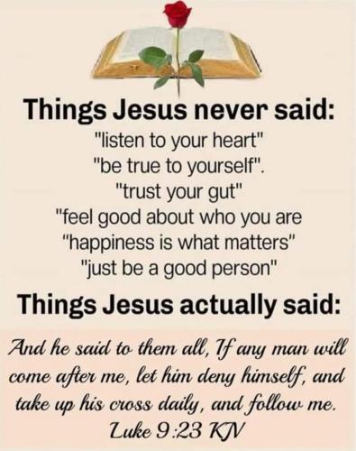 d806f7c3-a41c-4b87-afc6-72d3f8ca7583