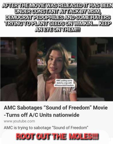 Screenshot_20230713_105145_Wimkin Free Speech Social Media