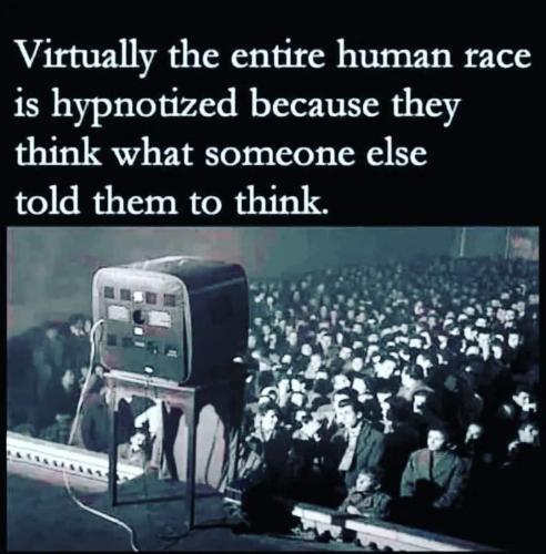 FB_IMG_1688484096652