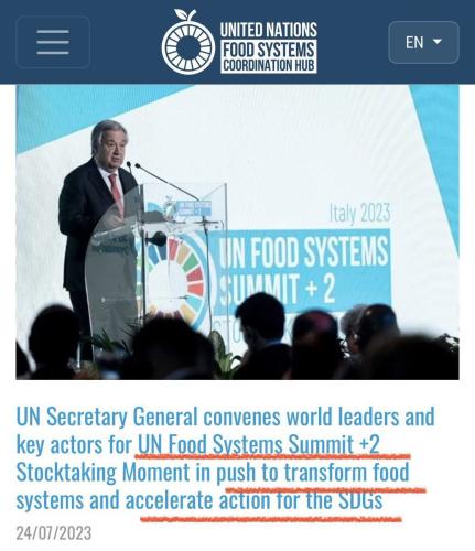 IMG_20230729_111549_863