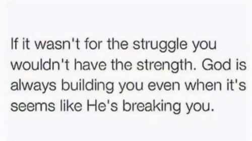 e08d7a8a-5db5-49df-9872-930f9efd19cf