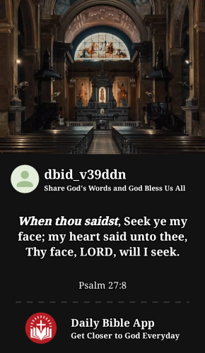 2023-07-081688835559539