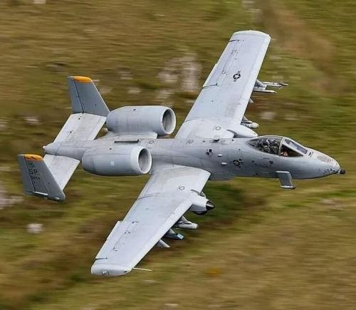 358649931_809546253913830_4272770634701434430_n