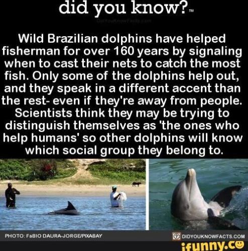 6e33641e-6b3b-482d-8de4-ed0d77c4006c