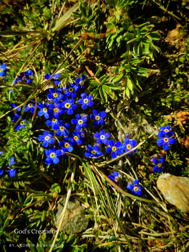 27_20230629_114130_0026