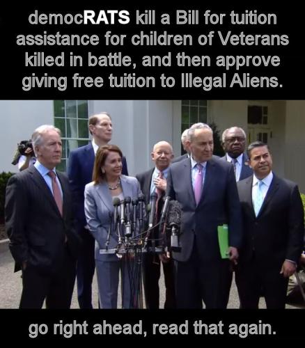 illegal immigration338