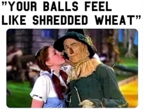 362285976_791844322647885_1085237939986689030_n