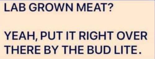 lab meat