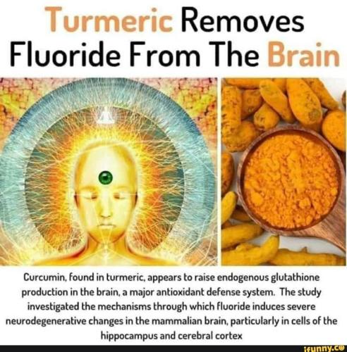 5de0ffdc-83b6-43a7-bf2f-7bbf5fc56ca0