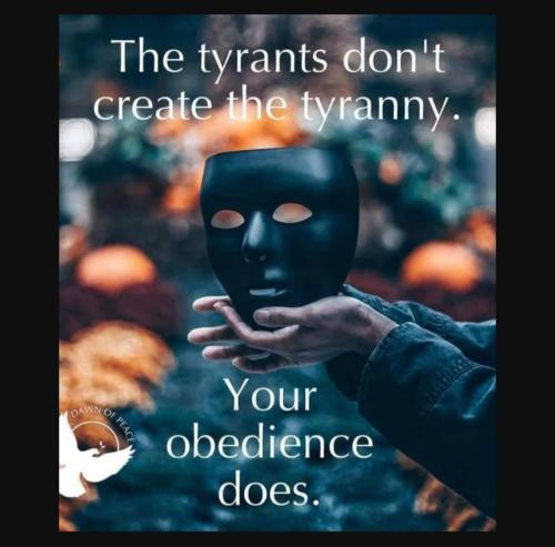 Screenshot_20230716_192044_YouTube