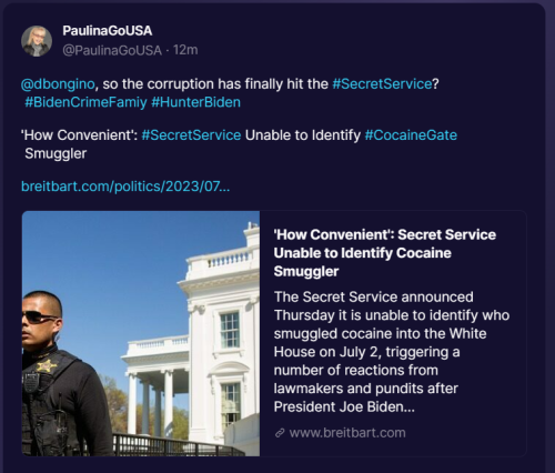 Secret Service 1