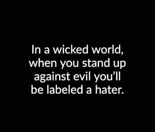 FB_IMG_1689868553086