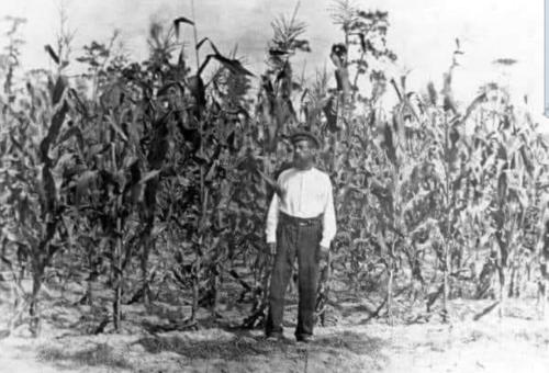 Screenshot_20230720_142715_Facebook