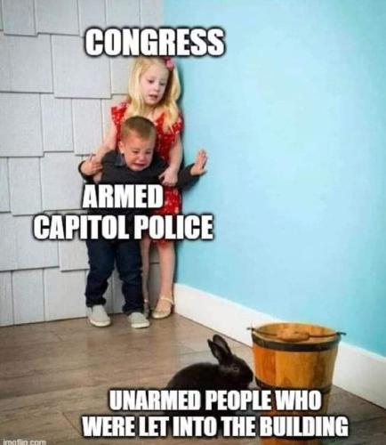 FB_IMG_1689090337113