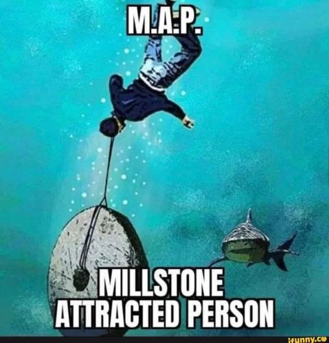 55d5b17a-7723-45be-aeff-fa6de19705f2