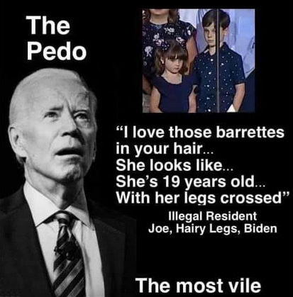 pedo joe84