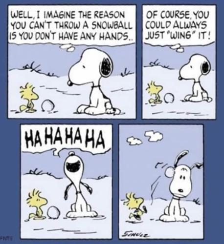 354060261_112094765250893_624417612506470486_n