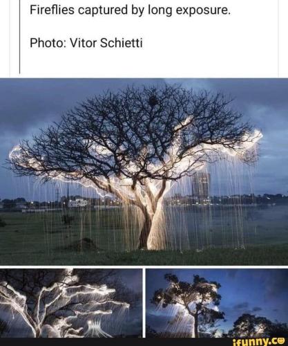 8840564f-102e-46a4-b371-b25f907607f3