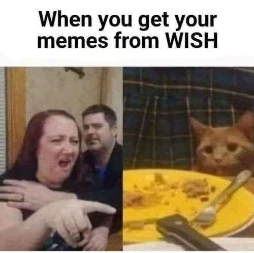 FB_IMG_1689185244122