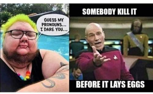 FB_IMG_1689786812195