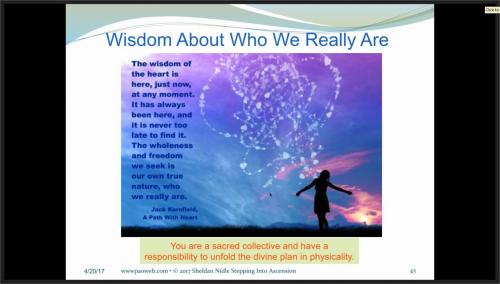 359020275_67435047956