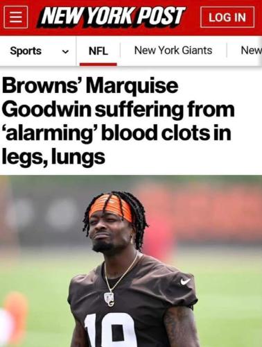 FB_IMG_1690105075115