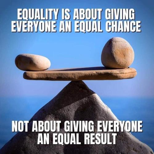 FB_IMG_1690607224532