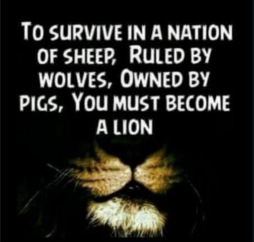 Screenshot_20230707_134357_Chrome