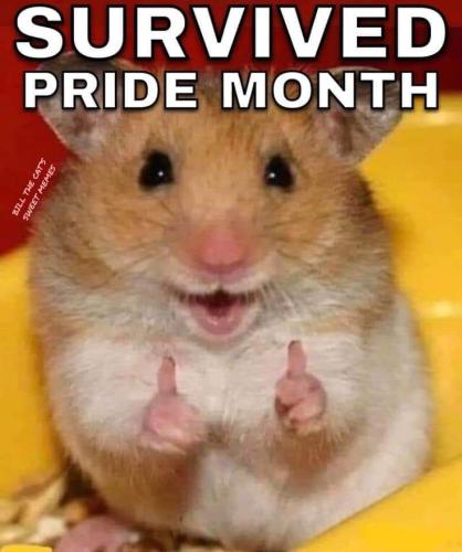 FB_IMG_1688369726757