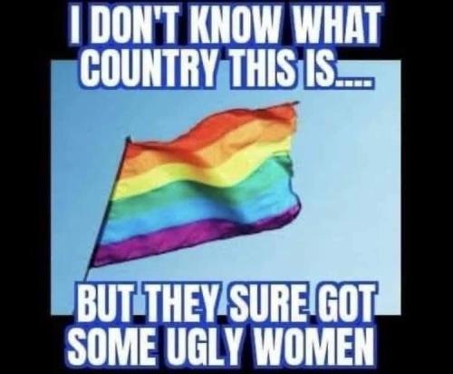 FB_IMG_1688226426671