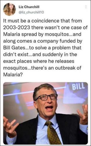 malaria02